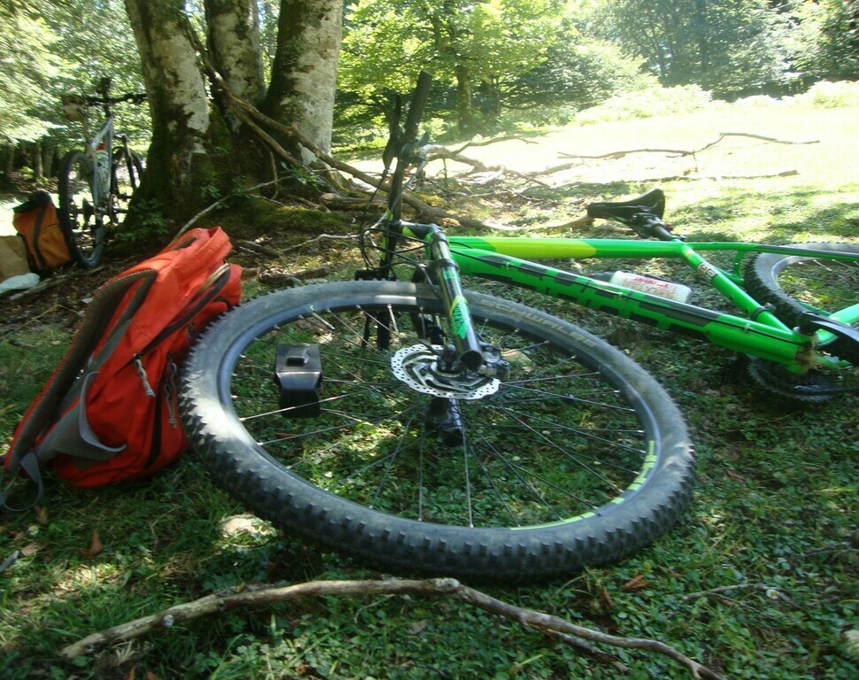 No s'ha trobat l'arxiu